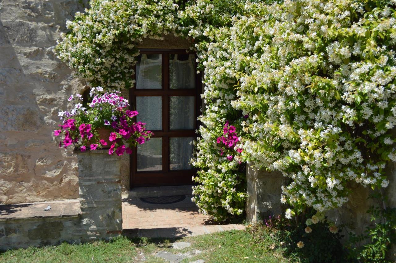 Villa Bellavista à Seggiano Extérieur photo