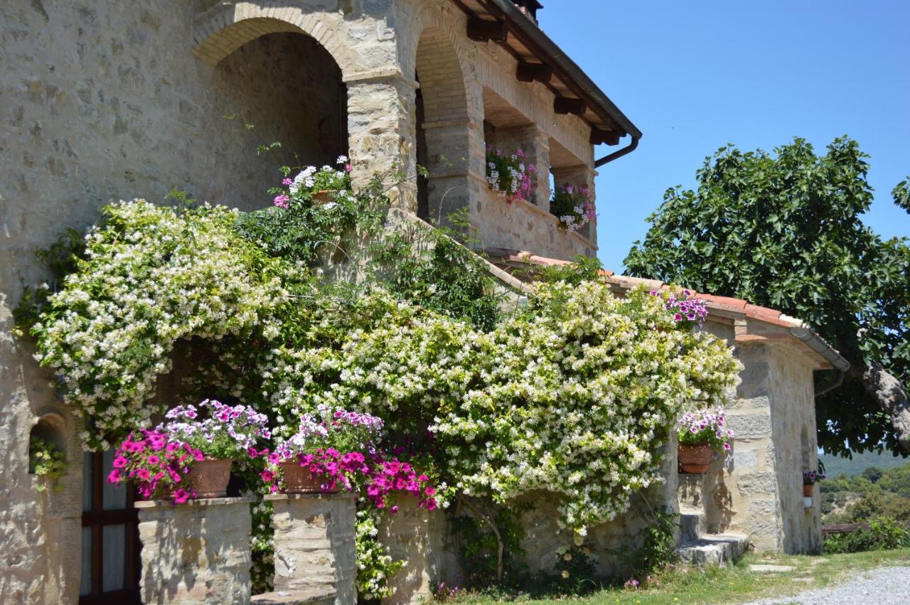 Villa Bellavista à Seggiano Extérieur photo