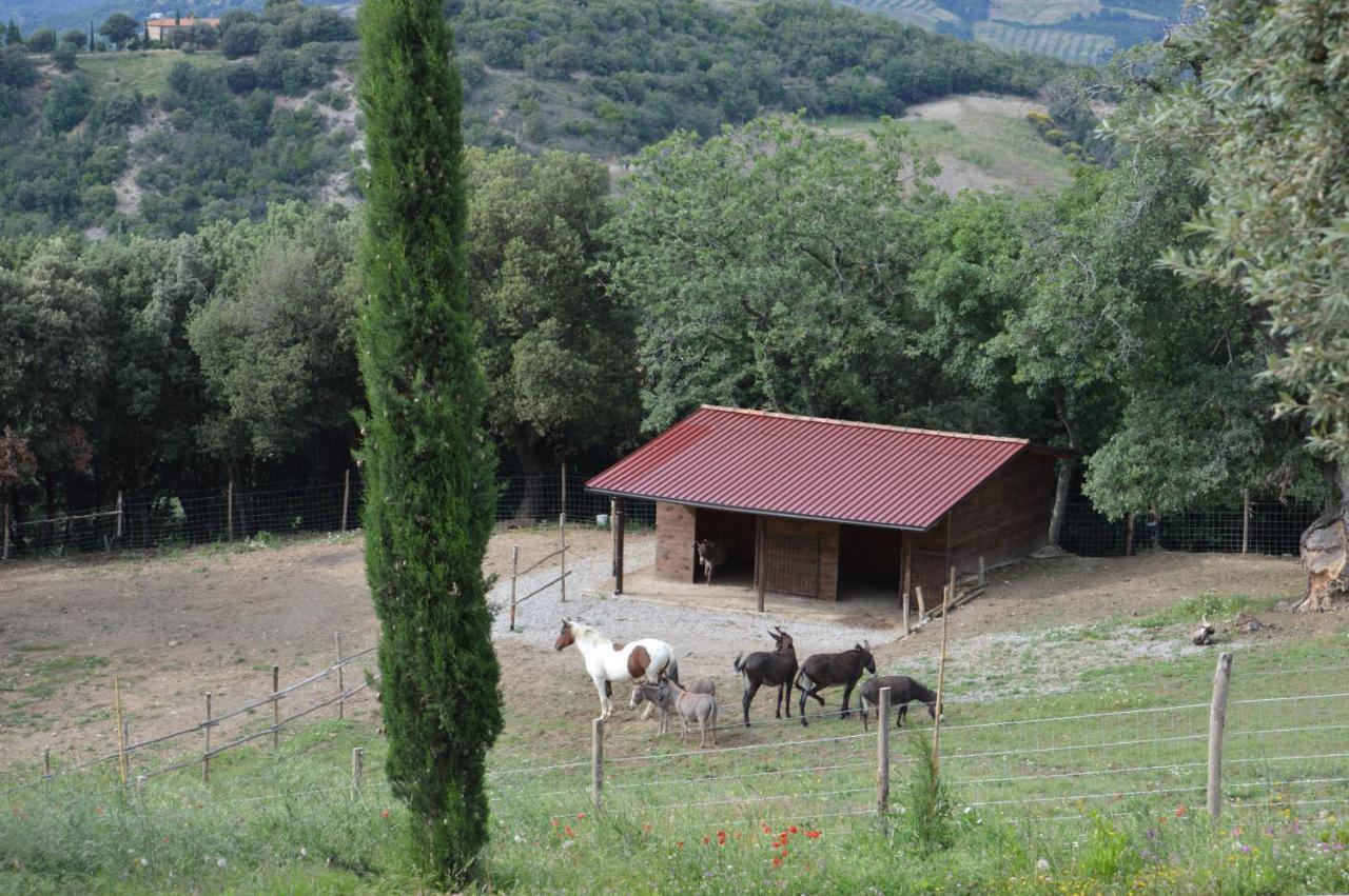 Villa Bellavista à Seggiano Extérieur photo