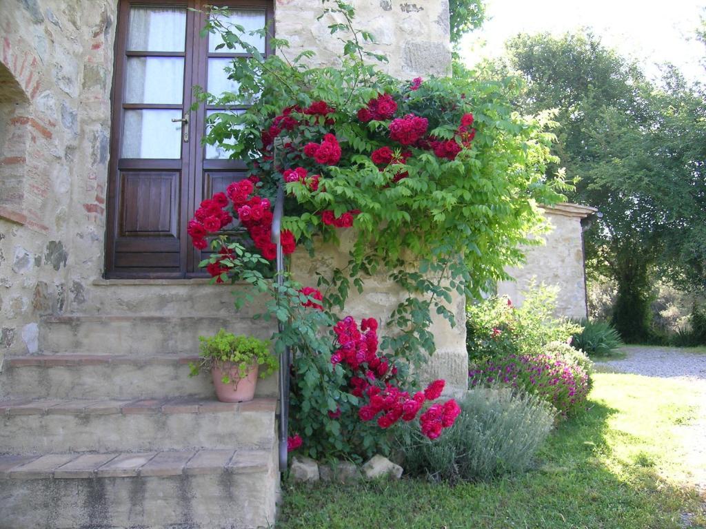Villa Bellavista à Seggiano Extérieur photo