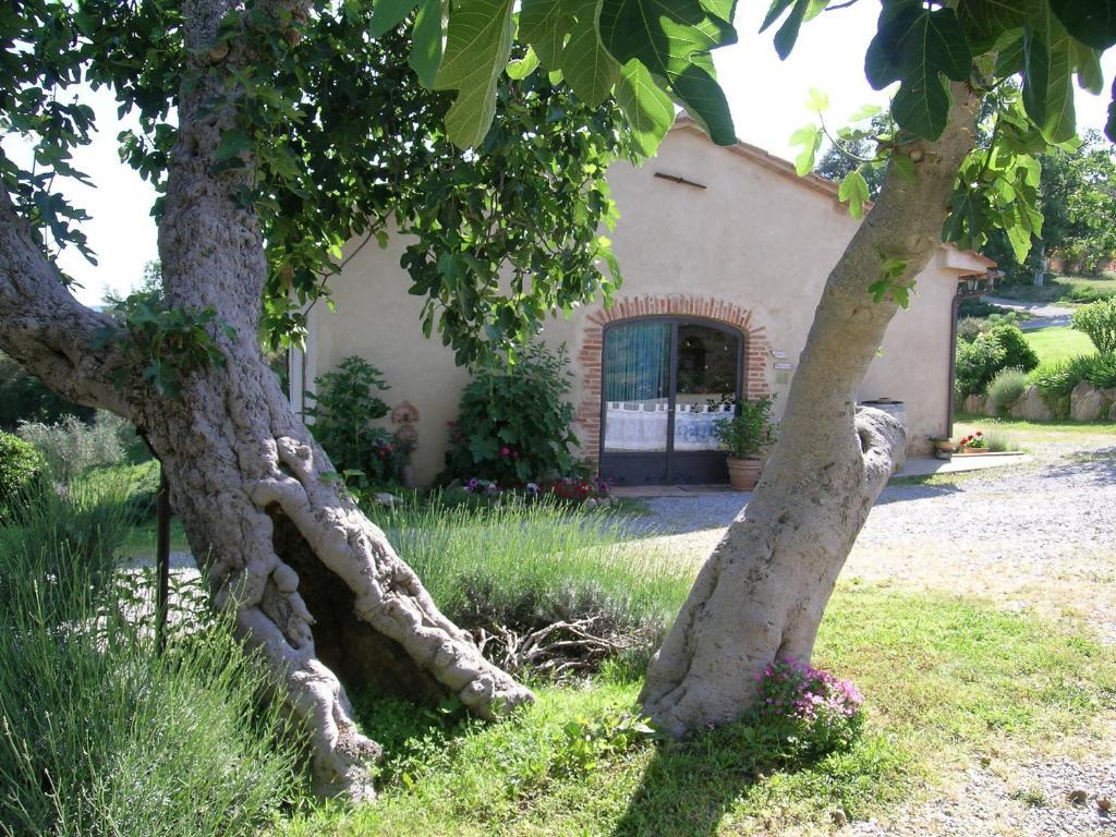 Villa Bellavista à Seggiano Extérieur photo