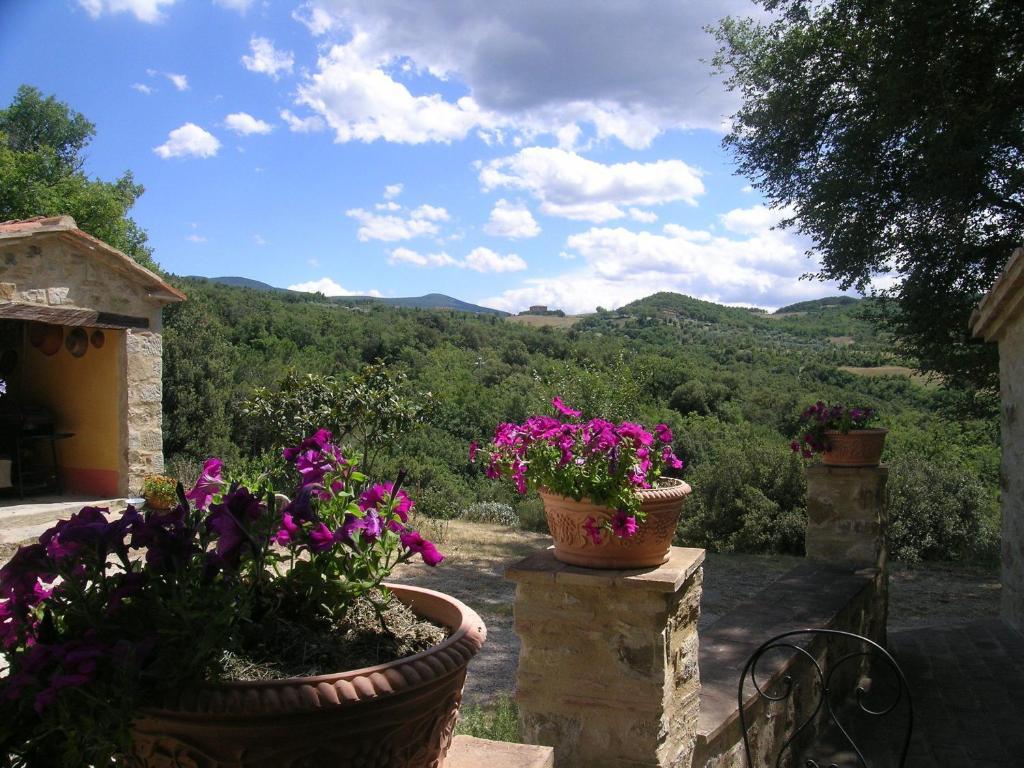 Villa Bellavista à Seggiano Extérieur photo