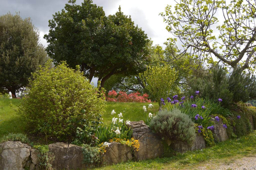 Villa Bellavista à Seggiano Extérieur photo